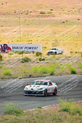 media/May-05-2024-Lucky Dog Racing (Sun) [[8a365fce5b]]/1030am-Turn 3/